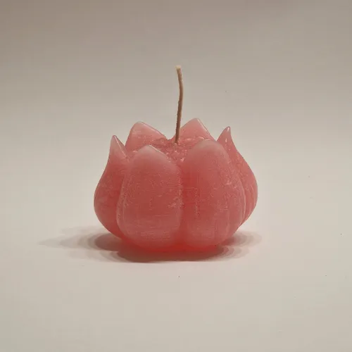 Cyprus Tulip Candle - Shape #1