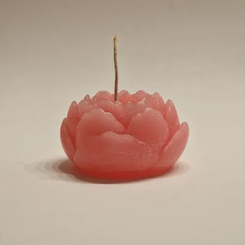 Cyprus Tulip Candle - Shape #2