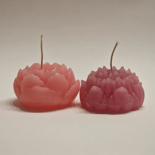 Cyprus Tulip Candle - Bundle #2