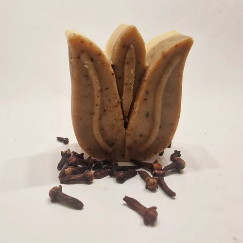 Cloves & Tea Tree Soap - Shape #3